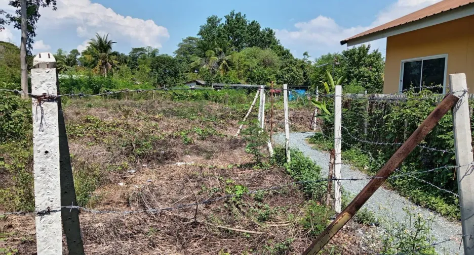 For sale land in San Sai, Chiang Mai