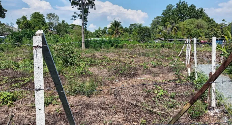 For sale land in San Sai, Chiang Mai