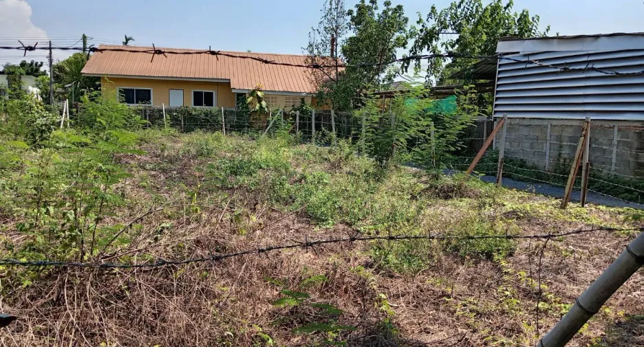 For sale land in San Sai, Chiang Mai