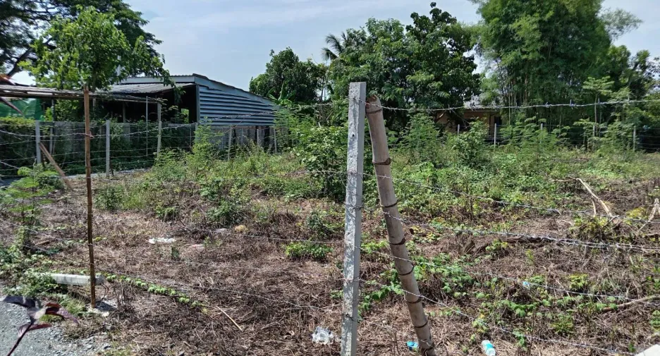 For sale land in San Sai, Chiang Mai
