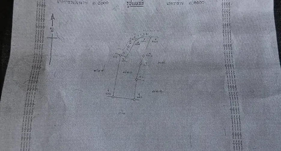 For sale land in San Sai, Chiang Mai