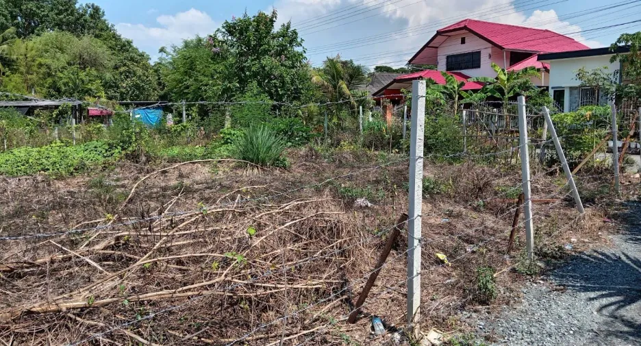 For sale land in San Sai, Chiang Mai