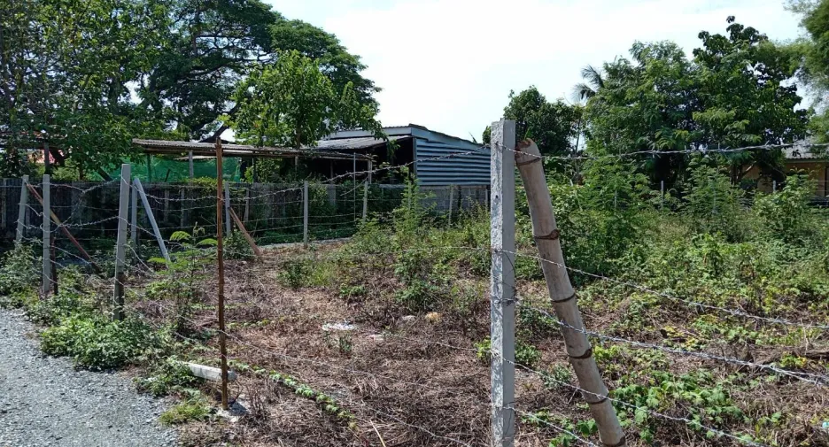 For sale land in San Sai, Chiang Mai