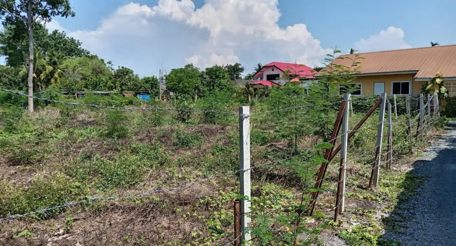 For sale land in San Sai, Chiang Mai