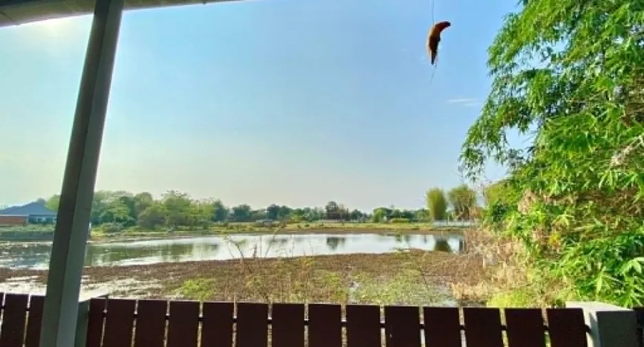 For rent 3 bedrooms house in San Sai, Chiang Mai