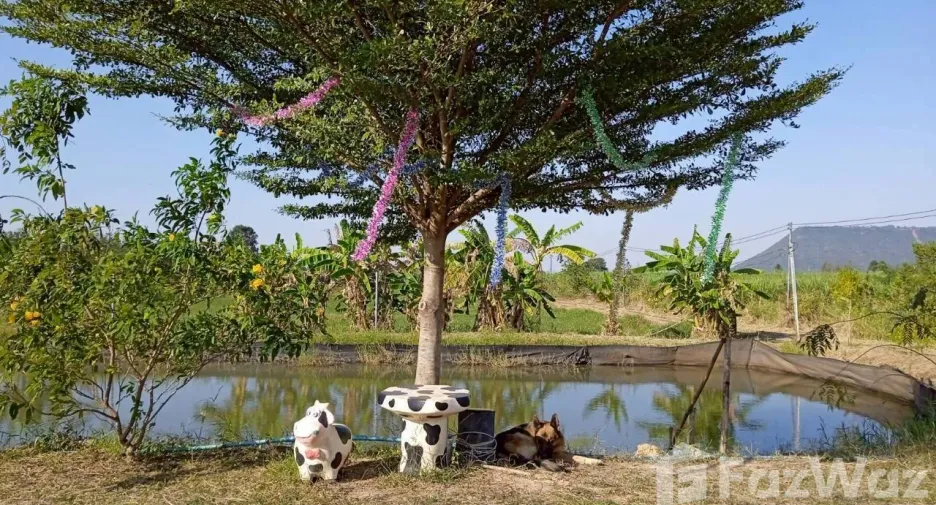 For sale land in Sikhio, Nakhon Ratchasima