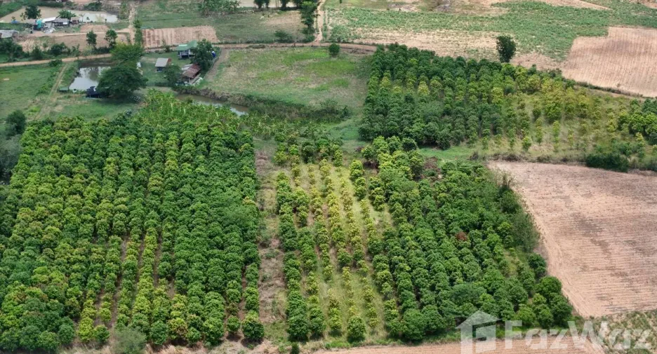 For sale land in Sikhio, Nakhon Ratchasima