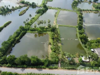 À vendre terrain à Nakhon Chai Si, Nakhon Pathom
