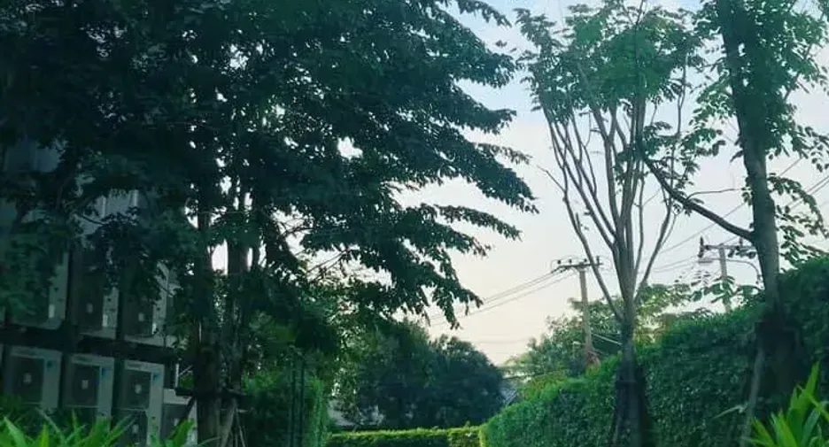 ขาย และ ให้เช่า 2 ห้องนอน คอนโด ใน บางกะปิ, กรุงเทพฯ