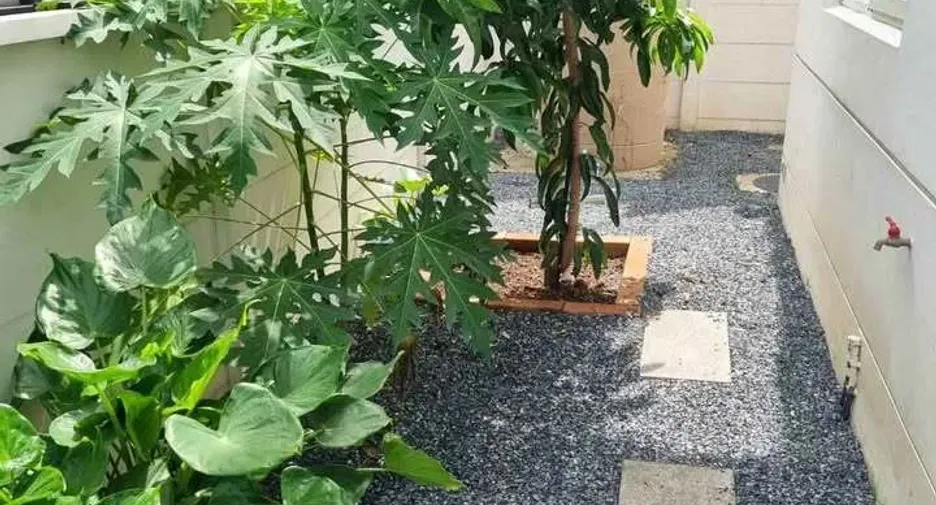 For rent 4 bedrooms house in Pak Kret, Nonthaburi