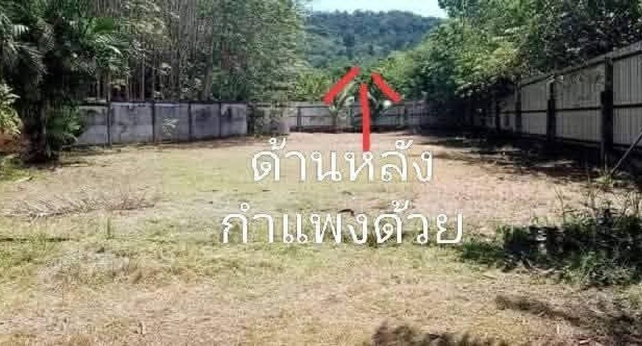 For sale land in Ko Lanta, Krabi