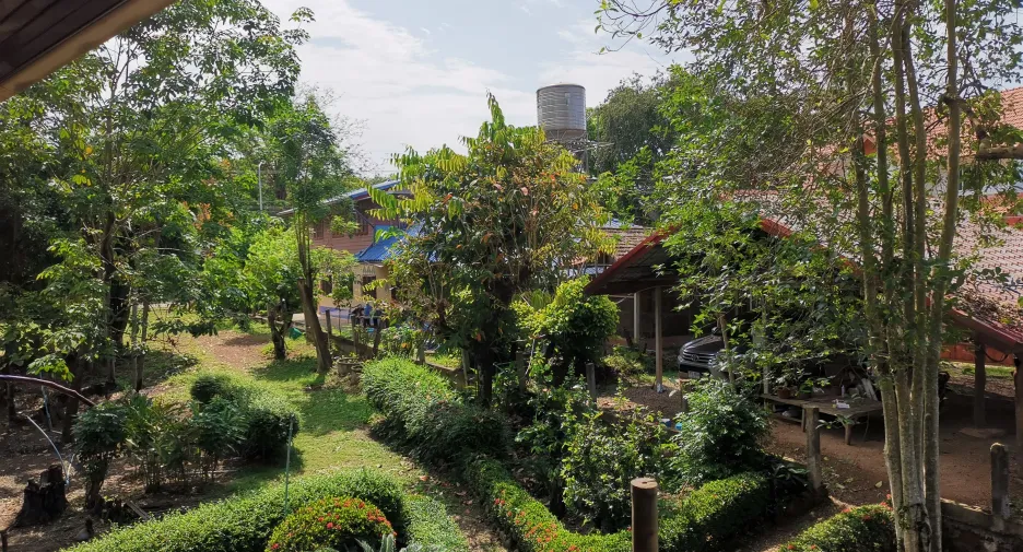 For sale land in So Phisai, Bueng Kan