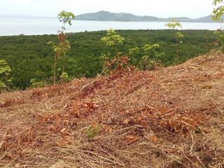 For sale land in Mueang Phuket, Phuket