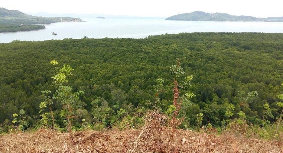 For sale land in Mueang Phuket, Phuket