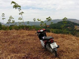 For sale land in Mueang Phuket, Phuket