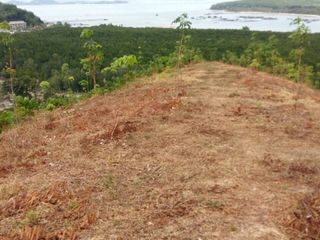 For sale land in Mueang Phuket, Phuket