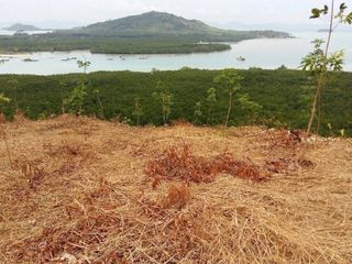For sale land in Mueang Phuket, Phuket