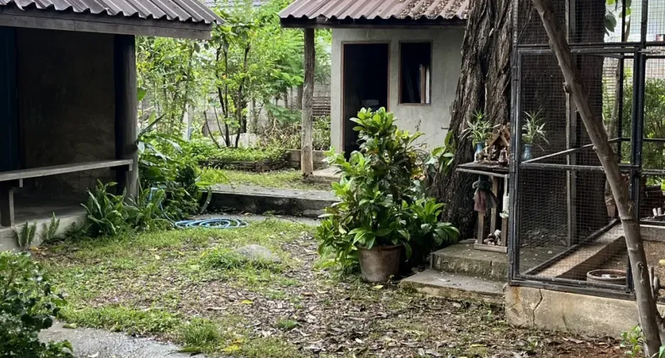 Casa en venta de 6 habitaciones en Pai, Mae Hong Son