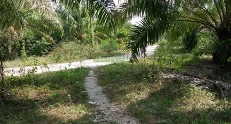 For sale land in Mueang Nakhon Si Thammarat, Nakhon Si Thammarat