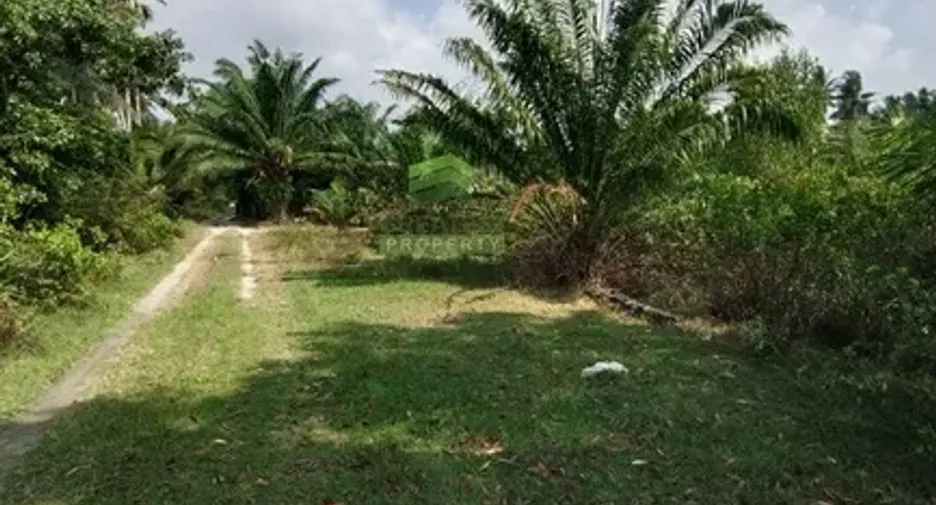 For sale land in Mueang Nakhon Si Thammarat, Nakhon Si Thammarat