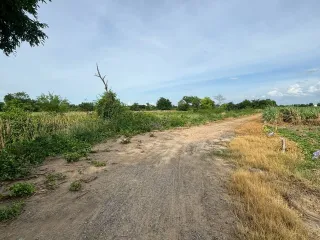Terreno en venta en Kamphaeng Saen, Nakhon Pathom