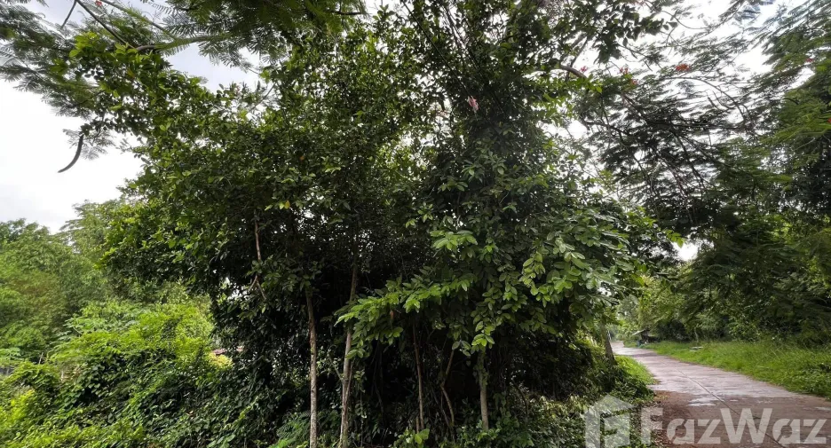For sale land in Mueang Saraburi, Saraburi