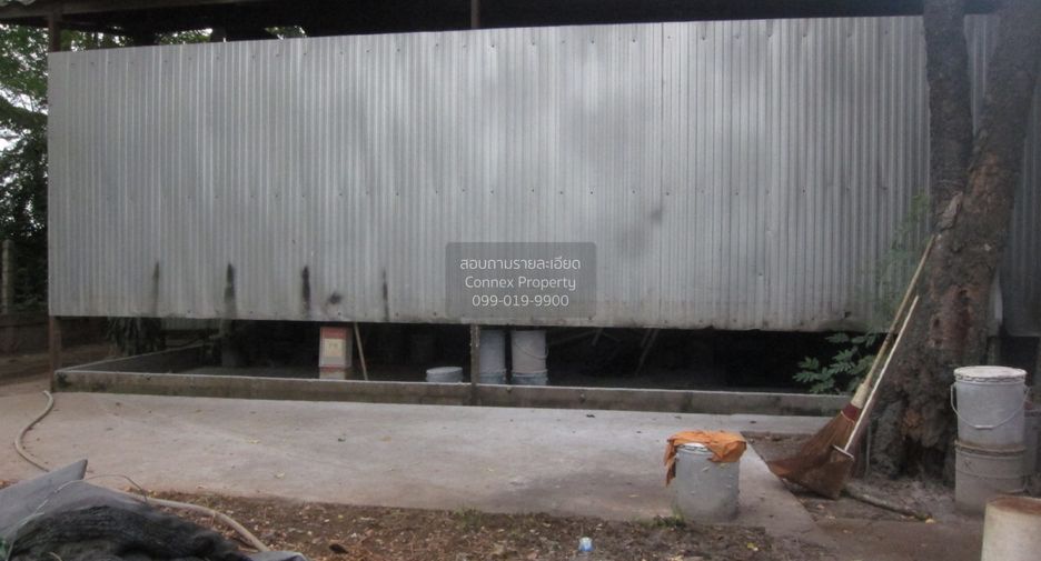 For sale 2 bedrooms house in Ko Chan, Chonburi