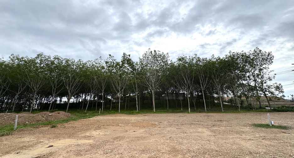 For sale land in Mueang Krabi, Krabi