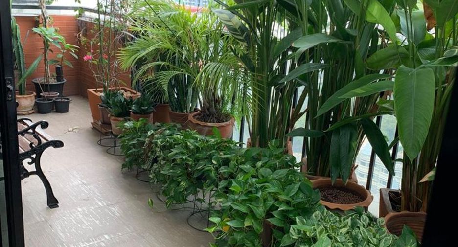 For rent 3 bedrooms condo in Watthana, Bangkok