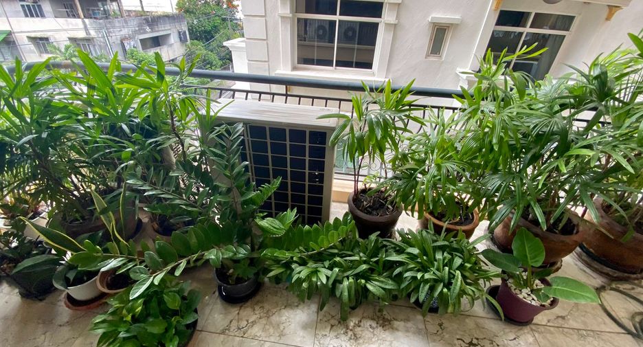 À louer 3 chambres condo à Watthana, Bangkok
