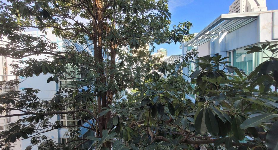 For rent 3 bedrooms condo in Khlong Toei, Bangkok