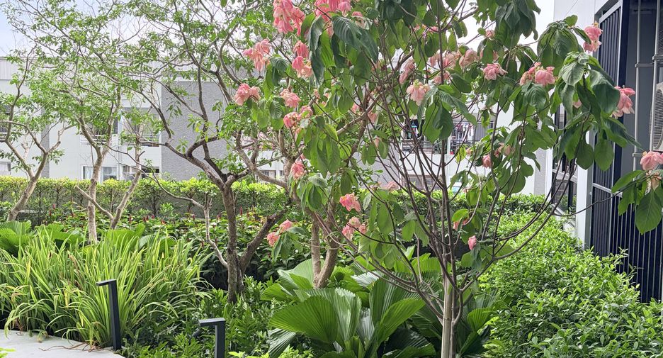 For rent 2 bedrooms condo in Bang Kapi, Bangkok