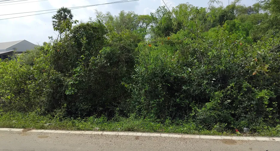 For sale land in Si Maha Phot, Prachin Buri