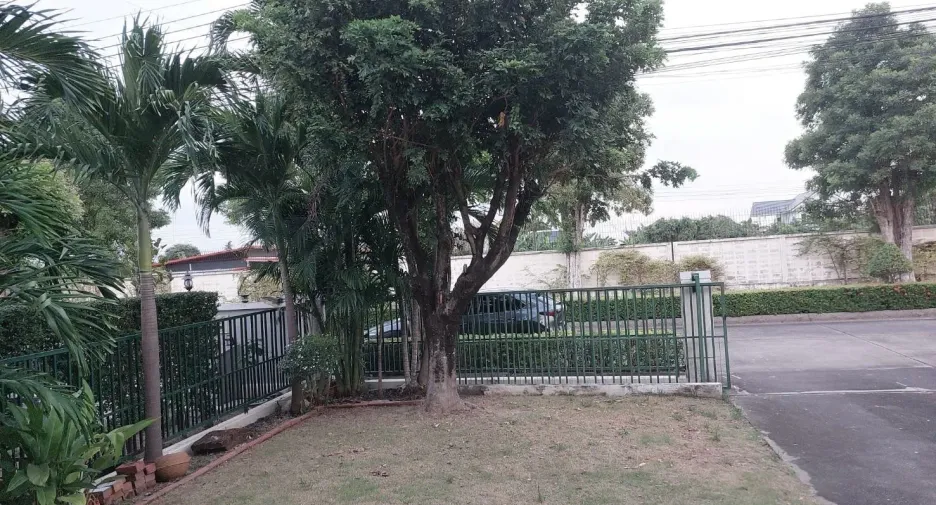 出租 4 卧室 独立屋 在 Bang Bua Thong, Nonthaburi
