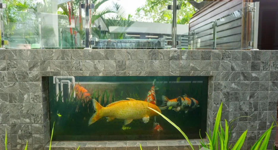 For sale 4 bedrooms villa in Mueang Phuket, Phuket