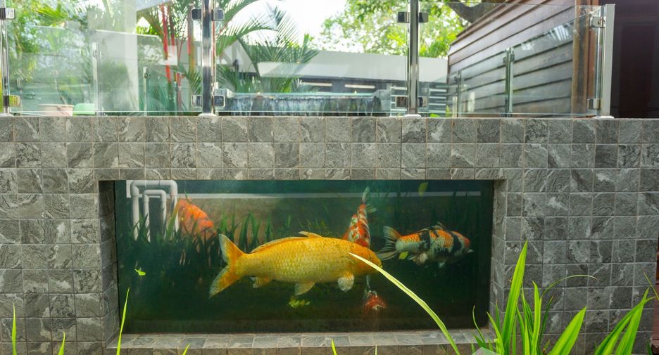 Villa zum Kauf mit 4 Zimmer in Mueang Phuket, Phuket