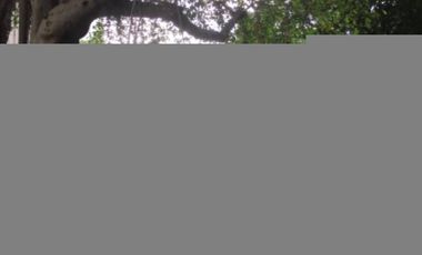 For sale 1 bed condo in Chatuchak, Bangkok