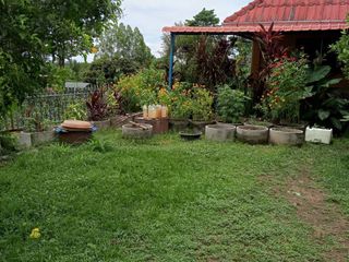 ขาย 2 ห้องนอน บ้านเดี่ยว ใน บางละมุง, ชลบุรี