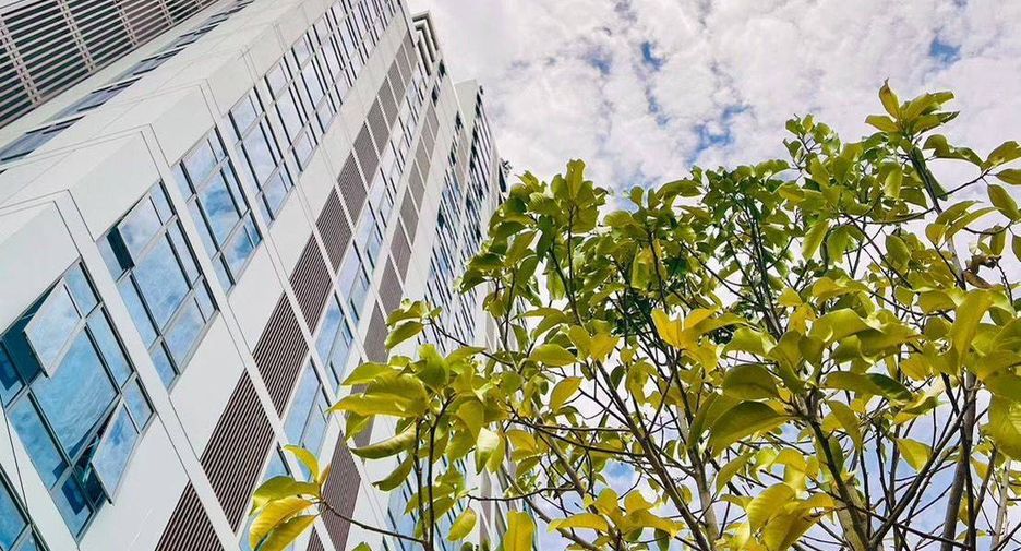 For sale 2 bedrooms condo in Pratumnak, Pattaya