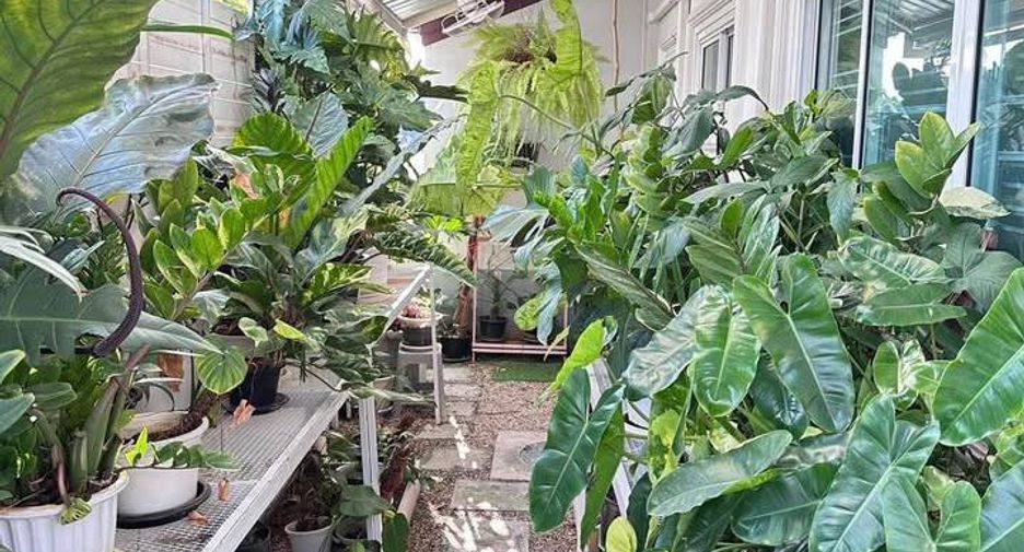 For sale 3 bedrooms house in Mueang Chon Buri, Chonburi