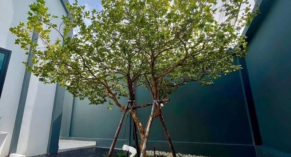 ขาย 3 ห้องนอน วิลล่า ใน พัทยาตะวันออก, พัทยา