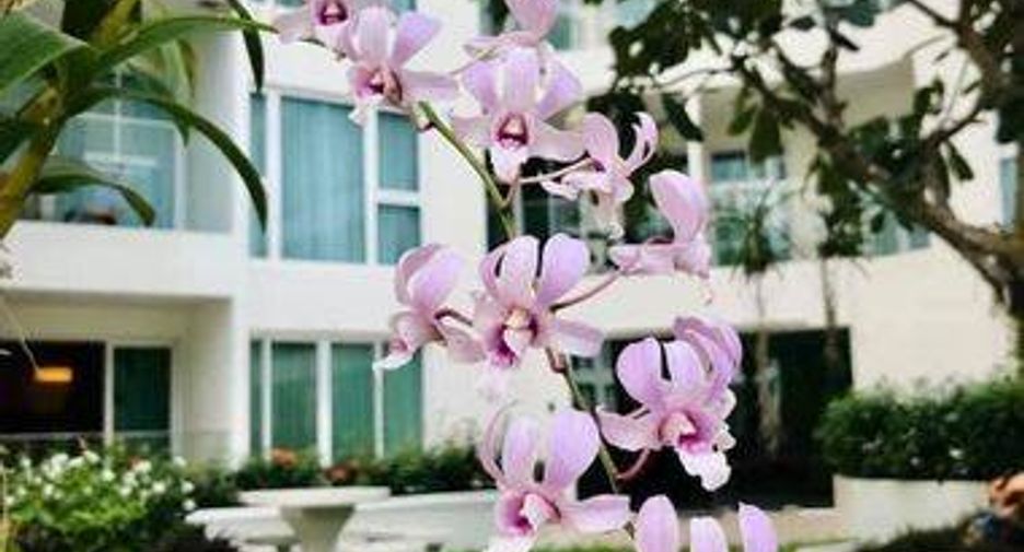 出租 和 出售 1 卧室 公寓 在 Bang Lamung, Chon Buri