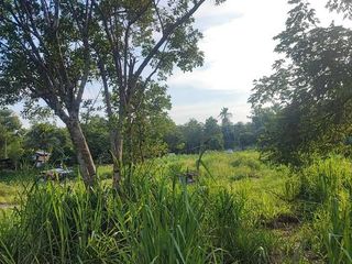 For sale 3 bedrooms house in Ban Bueng, Chonburi