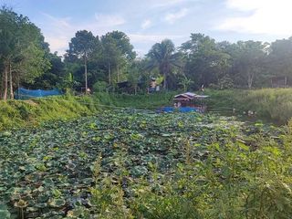 For sale 3 bedrooms house in Ban Bueng, Chonburi