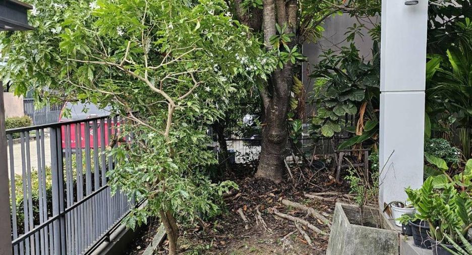For sale 3 bedrooms house in Prawet, Bangkok