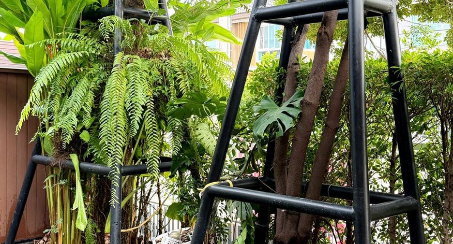 For sale 3 bedrooms house in Khlong Sam Wa, Bangkok