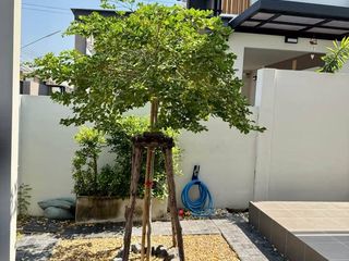 For sale 3 bedrooms house in Phan Thong, Chonburi