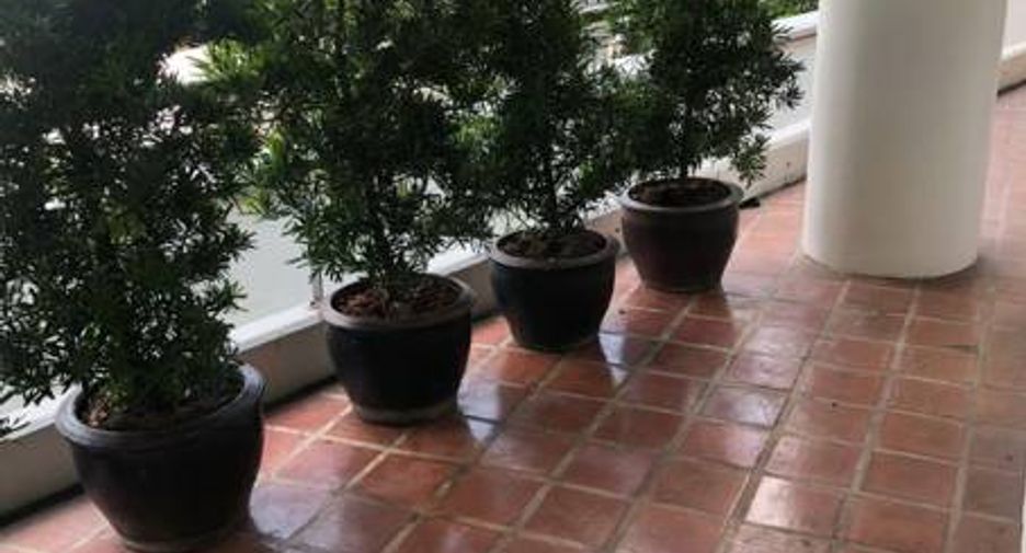 出租 3 卧室 公寓式住宅 在 Khlong Toei, 曼谷