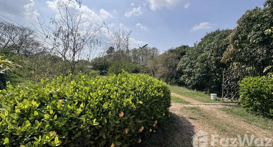 For sale land in Mueang Phitsanulok, Phitsanulok