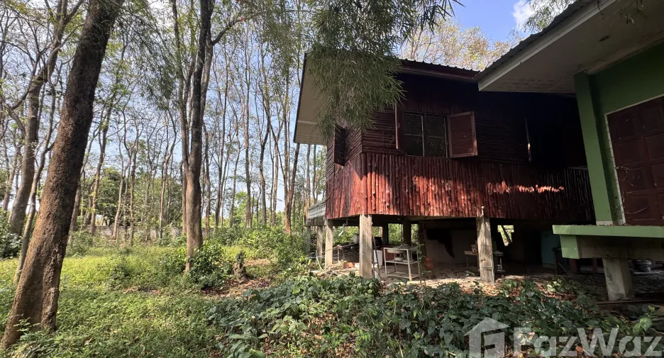 For sale land in Mueang Phitsanulok, Phitsanulok